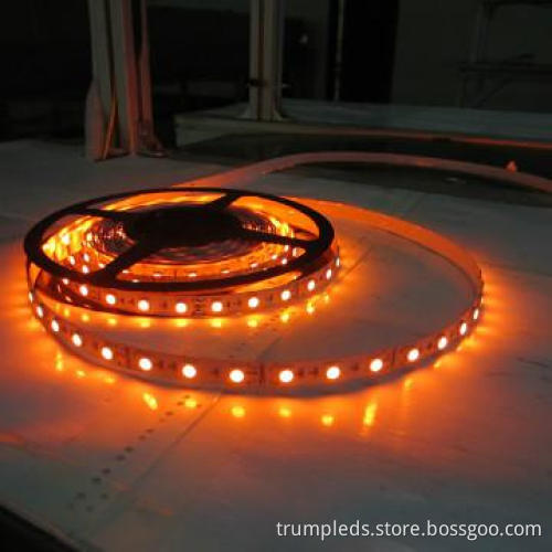 CE&RoHS 3528 5050 2 years warranty strip led light for Christmas